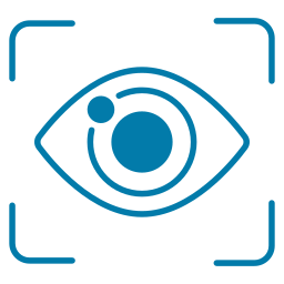 vision